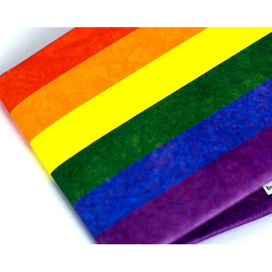 Dynomighty Mighty Wallet - Pride